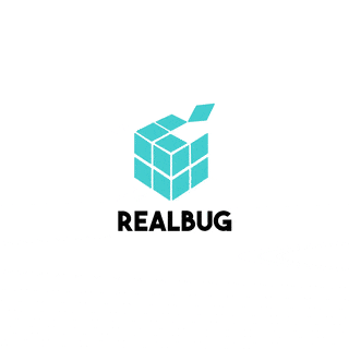 Realbug Cube Shape Frame by Frame Animated Logo Example