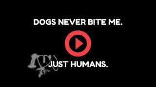 Dogs Never Bite Me - Just Humans - Editable Youtube Thumbnail