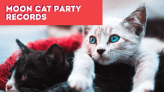 Moon Cat Party Records Youtube Video Thumnail Example